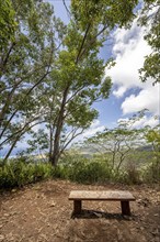 Bench with Aloha Symbol on Sleeping Giant (Nounou Mountain) East Trail, Kauai, Hawaii, USA, North