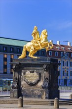 Golden Rider in Dresden