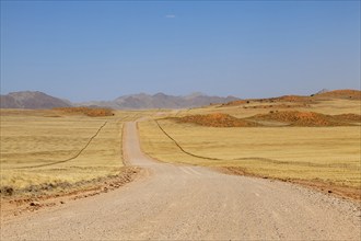 Gravel road C14, in the background the Tiras Mountains, Namibia, Africa