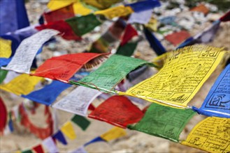 Tibetan Buddhism prayer flags (lungta) with Om Mani Padme Hum Buddhist mantra prayer. Leh, Ladakh,