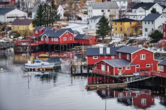 Reine fishing village on Lofoten islands with red rorbu houses in winter with snow. Lofoten