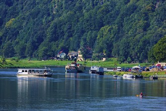 Elbe steamer Pirna in Wehlen