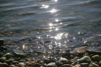 Elbe water, the water quality of the Elbe has improved significantly in recent years