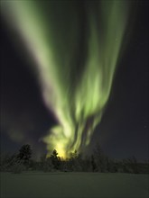 Northern Lights (Aurora borealis) in green and purple, Hetta, Enontekiö, Lapland, Finland, Europe