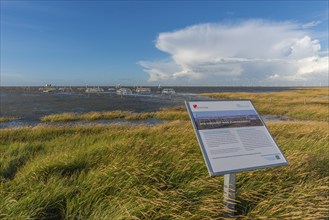 Flooded salt marshes at the Hamburger Hallig, University of Hamburg, Warming experiment, Warming