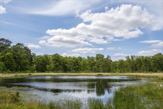 Nature conservation and FFH area, Heideweiher, Heubachniederung, Gescher, Münsterland, North