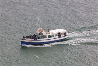 Boot, Taiaroa Head, Otago-Halbinsel, Neuseeland