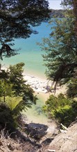 Abel Tasman Coast Track, Gilbert-Point, Kaiteriteri, New Zealand, Oceania