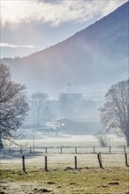 Fog, Litzldorf, Bavaria, Germany, Europe