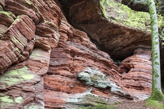 Old castle rock, red sandstone rock formation, natural and cultural monument, Brechenberg near