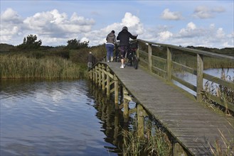 Cyclists pushing bicycles over a wooden bridge in Denmark