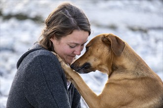 Young woman with her dog, intimate relationship, love of animals, Upper Bavaria, Bavaria, Germany,