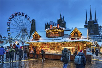 Christmas market on the cathedral square in Erfurt, Thuringia, Germany, Europe