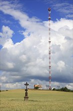 Wheat field, grain field with a lonely field cross, in the background transmitting station with