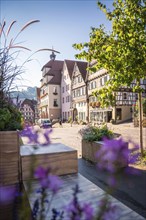 Town hall in half-timbered town in the morning, Calw, Black Forest, Germany, Europe