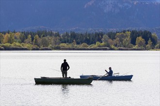 Angler at Lake Hopfensee, Hopfen am See, Ostallgäu, Bavaria, Germany, Europe