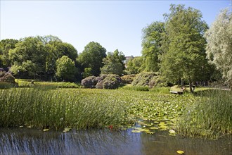 Gothenburg City Park, Västra Götalands län Province, Sweden, Europe