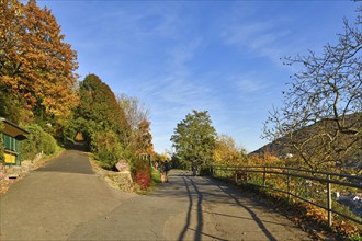 Heidelberg, Germany, November 2021: Path with public gardens called 'Philosophenweg' in Heidelberg