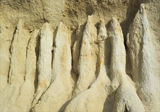 Strange rock formations created by water erosion at the Orgues d'Ille-sur-Têt in the