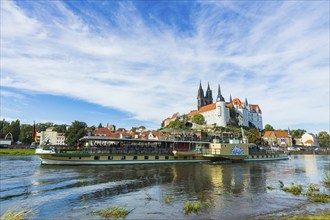 Elbe steamer Stadt Wehlen, arriving in Meissen