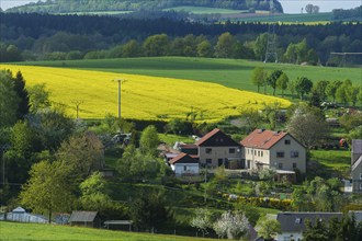 Village view Reinhardtsgrimma