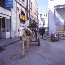 Tunisia with Hammamet by the sea on12.3.1992, TUN, Tunisia, Africa