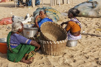 CHENNAI, INDIA, FEBRUARY 10, 2013: Local Indian women on Marina beach in Chennai. Marina beach is