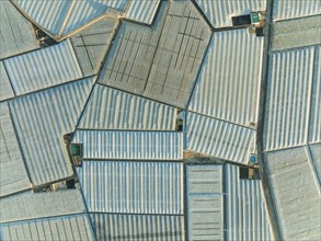 Masses of shimmering plastic greenhouses near El Ejido, aerial view, drone shot, Almería province,