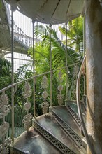 Cast-iron spiral staircase, Palm House, oldest Victorian greenhouse in the world, Royal Botanic