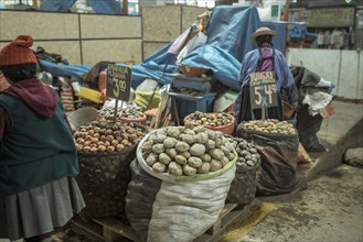 Potato variety, Mercado Mayorista, Huancayo, Peru, South America