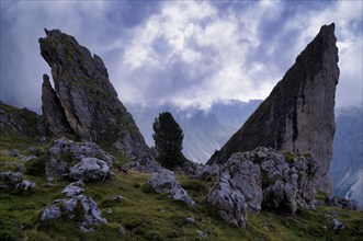 Malga-Alm below the Geisler peaks, Puez-Odle nature Park, Seceda, Val Gardena, Trentino, South