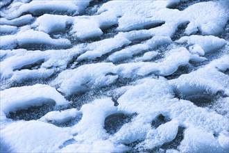 Iced snowdrift at the harbour of Reykjavik, Reykjavik, Reykjanes Peninsula, Sudurnes, Iceland,