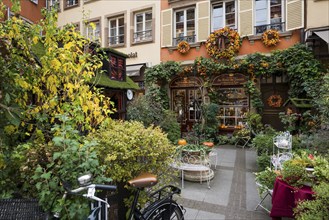 Shop decorated in autumn, Strasbourg, Alsace, France, Europe