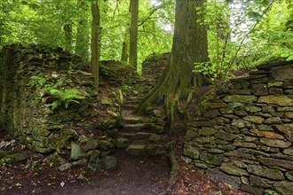 Altzella Monastery Park