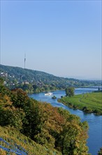 Elbe Castles