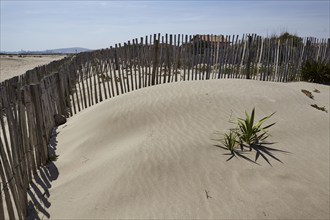 Protective fence to prevent erosion on the beach at Frontignan, Hérault, Occitania, France, Europe