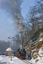 Little railway in Seifersdorf