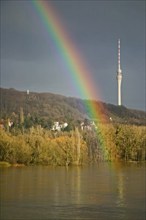 Elbe view from blauen Wunder