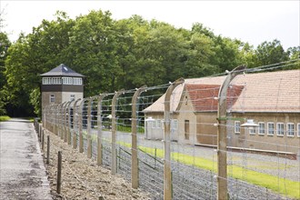 Beech forest concentration camp