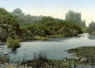 Source of the Jordan, one of the headwaters of the Dan River, Israel, c. 1890, Historic, digitally