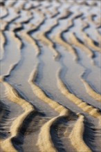 Pattern of sand ripples on the beach, The Netherlands, Europe