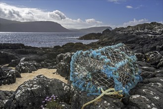 Lobster trap, lobster creel, made of non-degradable plastic and nylon, washed ashore on rocky beach