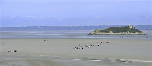 Tourists walking on the beach at low tide in front of the Tombelaine islet at Mont Saint-Michel,