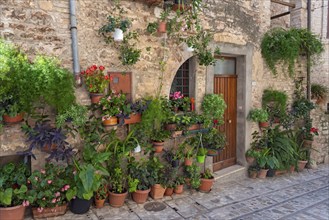 Ancient house front with door and flowerpots, Spello, Umbria, Italy, Europe