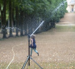 Lawn sprinkler irrigates withered meadow in park, Potsdam, Brandenburg, Germany, Europe