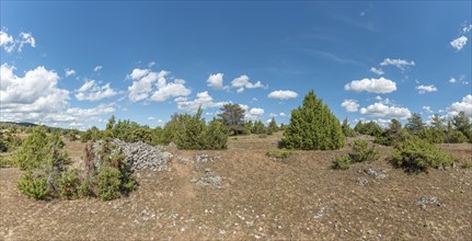 Landscape of the causse mejean in summer in the cevennes national park. Unesco World Heritage.