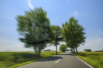 Dynamic photo with speed effect of driving on country road avenue with high speed speeding by