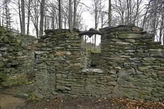 Altzella Monastery, Abbey