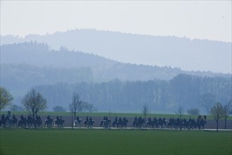 Every year at Easter there are about 5 processions in Lusatia, each with about 200 riders. The