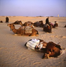 Tunisia with Hammamet by the sea on12.3.1992, TUN, Tunisia, Africa